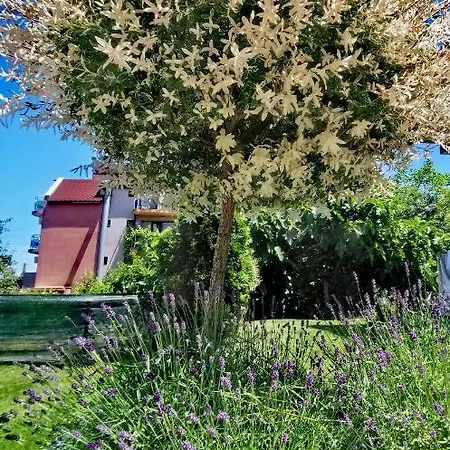 بيت ضيافة Blue Breeze