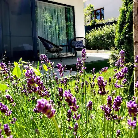 بيت ضيافة Blue Breeze سينيموريتس